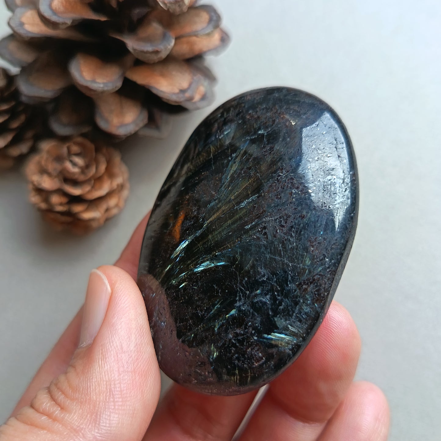 Arfvedsonite, Palm Stone, Oval shape, 60x40x15mm, 71.8g [PALM-Y05]