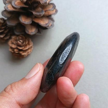 Arfvedsonite, Palm Stone, Oval shape, 60x40x15mm, 71.8g [PALM-Y05]