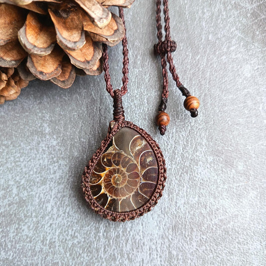 Ammonite Fossil Macrame Necklace | Pendant size approx 5 cm