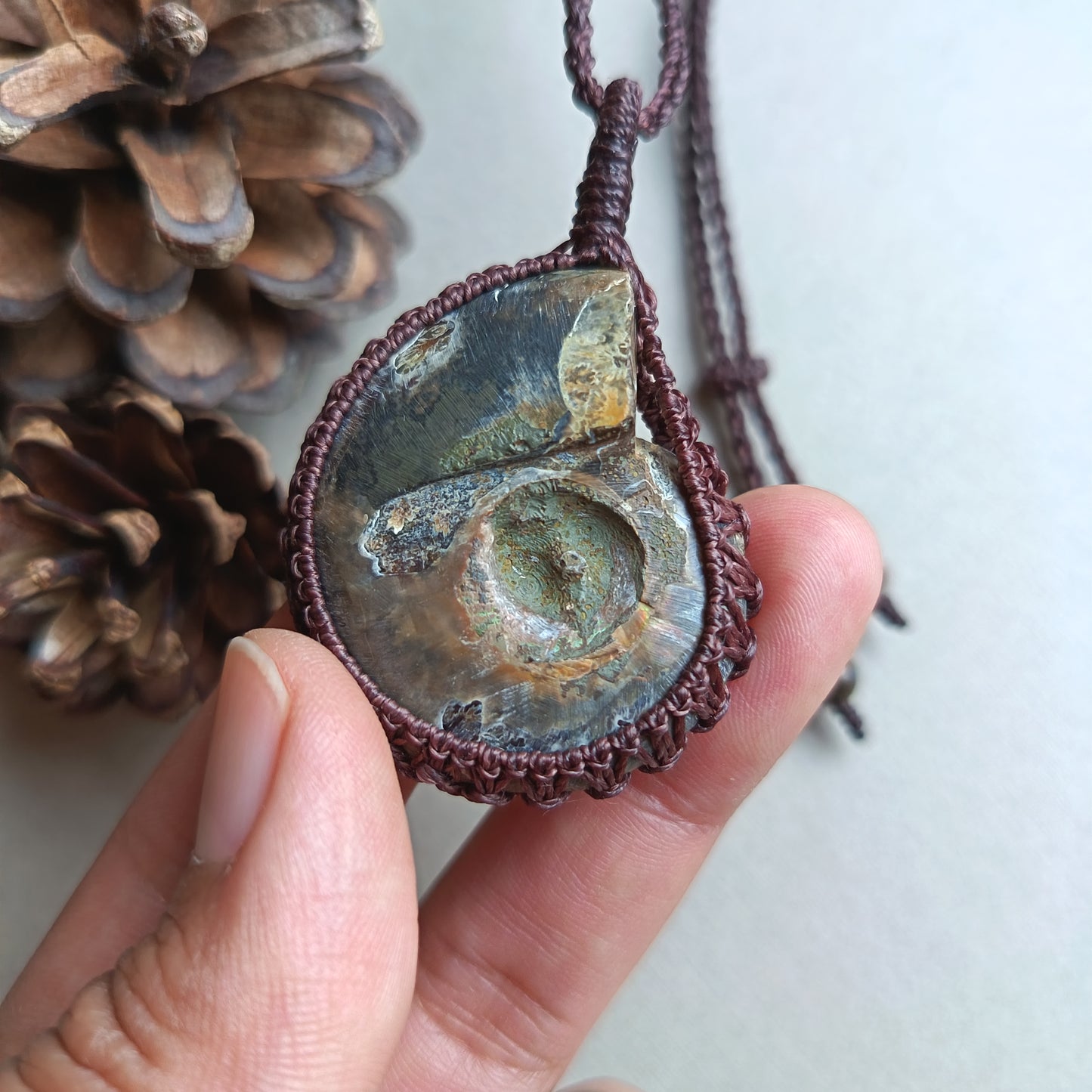 Ammonite Fossil Macrame Necklace | Pendant size 5.6 cm