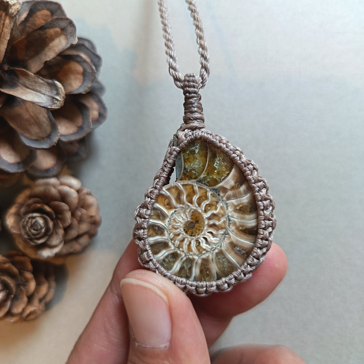 Ammonite Fossil Macrame Necklace | Pendant size 5.2 cm