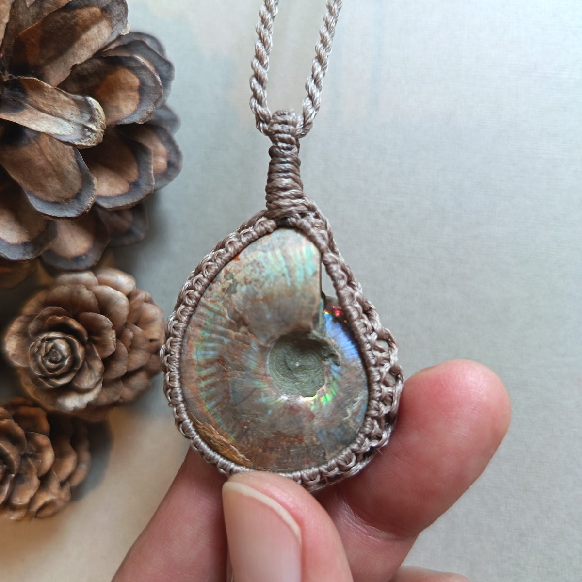 Ammonite Fossil Macrame Necklace | Pendant size 5.2 cm